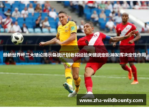 最新世界杯三大结论揭示备战计划老将经验关键战定乾坤发挥决定性作用 最新世界杯三大结论揭示备战计划老将经验关键战定乾坤发挥决定性作用