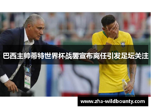 巴西主帅蒂特世界杯战罢宣布离任引发足坛关注