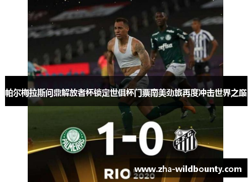 帕尔梅拉斯问鼎解放者杯锁定世俱杯门票南美劲旅再度冲击世界之巅 帕尔梅拉斯问鼎解放者杯锁定世俱杯门票南美劲旅再度冲击世界之巅