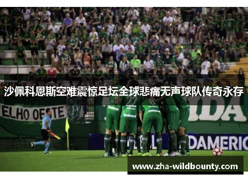 沙佩科恩斯空难震惊足坛全球悲痛无声球队传奇永存